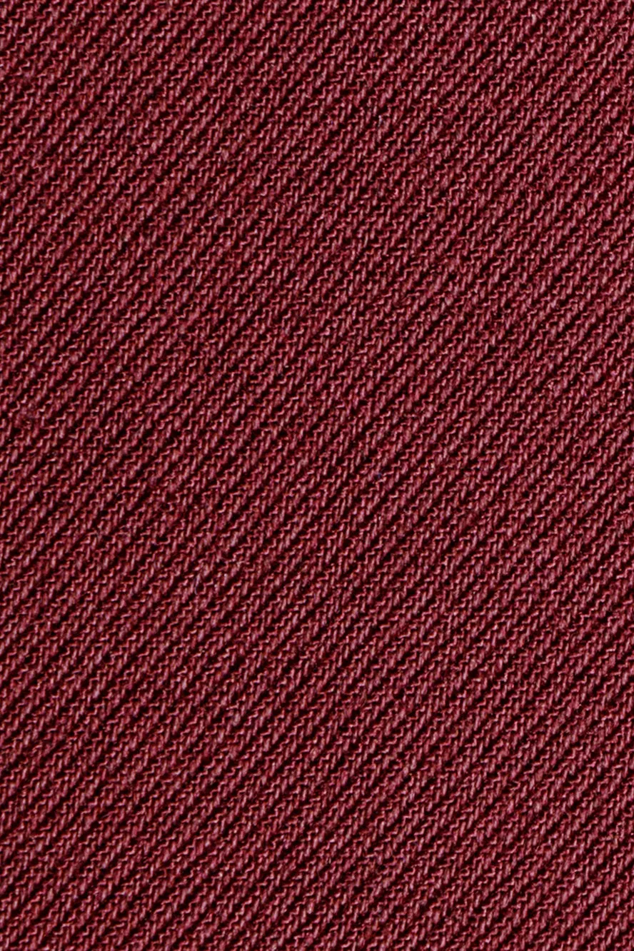 "Noah" Perry Ellis Kids Burgundy Suit (5-Piece Set)